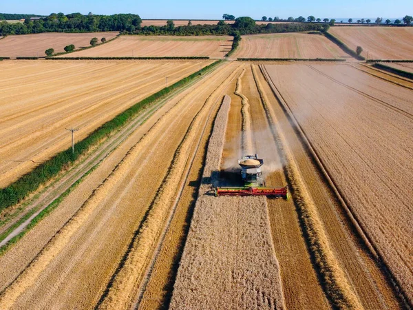 Aerial View Combine Harvester Landscape Wheat Fields Farmland North Yorkshire — Stok fotoğraf