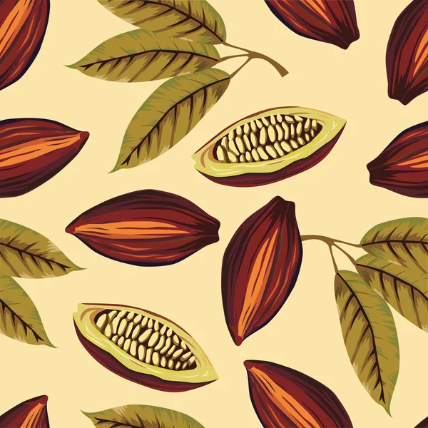 Cocoa beans vintage pattern — Stock Vector