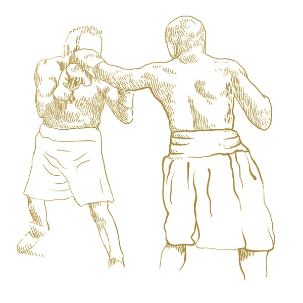 Boxers. — Fotografia de Stock