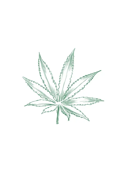 Marihuana — Zdjęcie stockowe