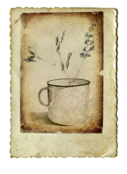 Mug and herbs — Stock Photo, Image