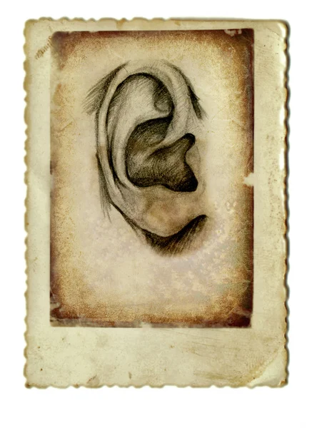 Lidské ucho — Stock fotografie