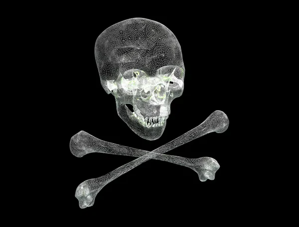 The skull — Stock Photo, Image