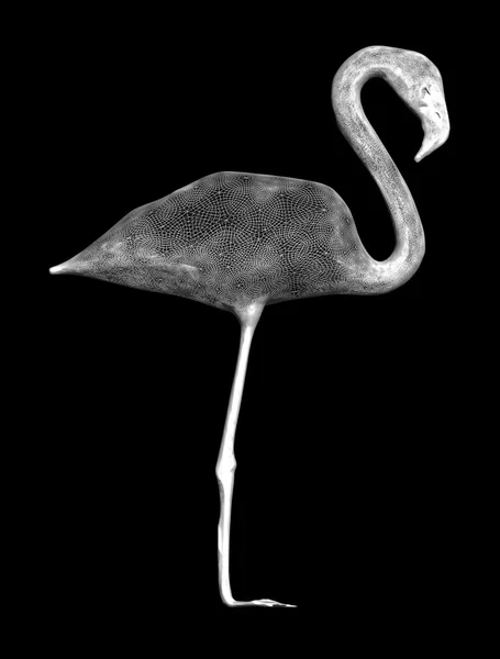 Zvíře: flamingo — Stock fotografie
