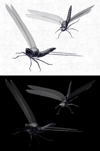 Animal: dragonflies — Stock Photo, Image