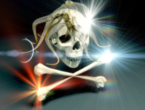 The skull — Stock Photo, Image