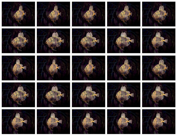 Каркасное искусство
