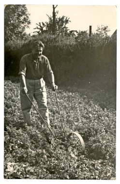 Pulluk (alanı çiftçilik arkasındaki adam)
