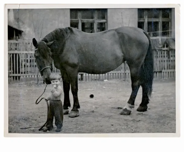 Niño y caballo — Foto de Stock