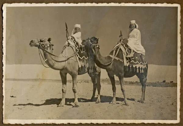 Верблюди на верблюдах (приховані діти ) — стокове фото