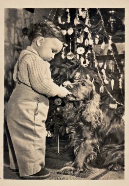 Noel zamanı (çocuk, köpeği - yavru horoz İspanyol, Noel ağacı)