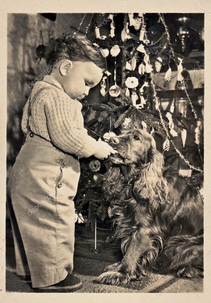 Christmas time (Boy, dog - cocker spaniel, Christmas tree) – Stock  Editorial Photo © kuco #28163951