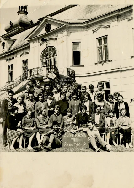 Kinderen - groep van jonge geitjes — Stockfoto