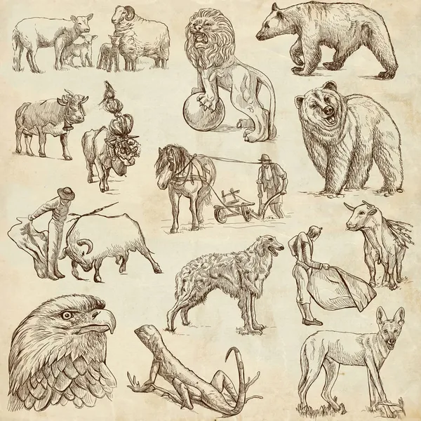 Animals Stock Photo