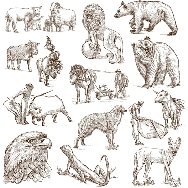 Animals Royalty Free Stock Images