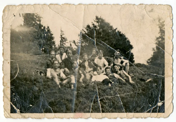 Dans la clairière forestière — Photo