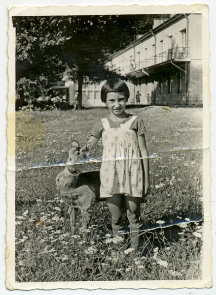 Девушка с плюшевым оленем — стоковое фото