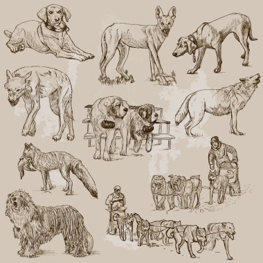 Köpekler