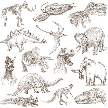 dinozorlar