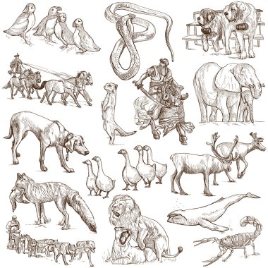Animals pack clipart