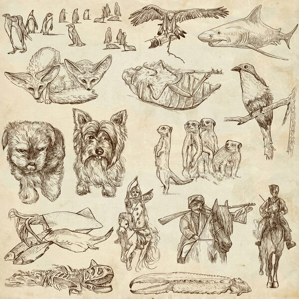 Стая животных
