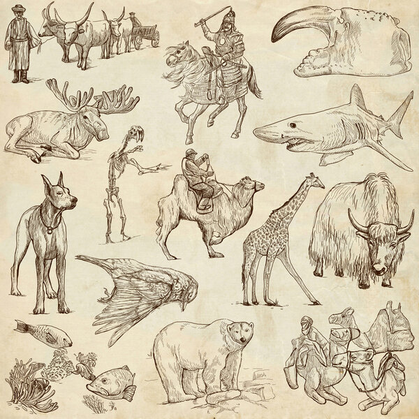 Стая животных
