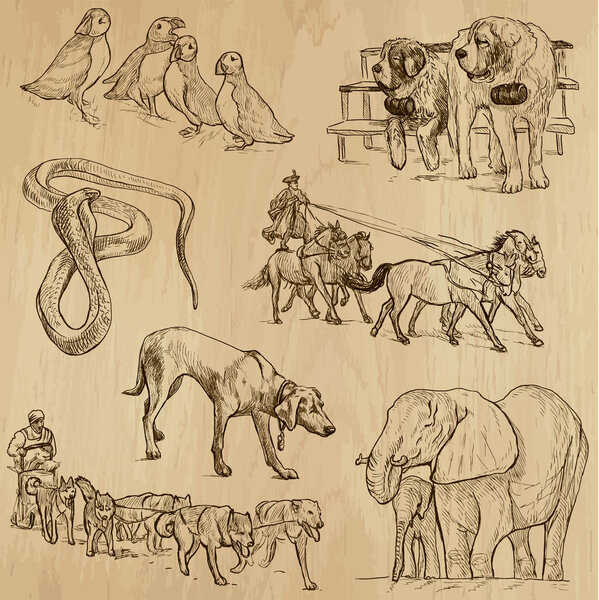 Анимация по всему миру (векторный набор)
)