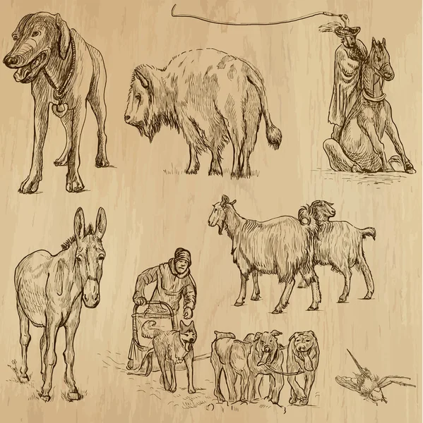 Animales de todo el mundo (vector pack ) — Archivo Imágenes Vectoriales
