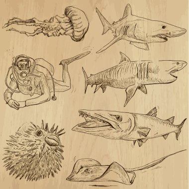 Underwater, Sea Life (vector set no.2) - hand drawn