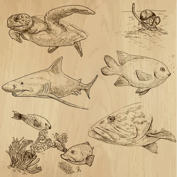 Underwater, Sea Life (vector set no.1) - hand drawn — Stock Vector