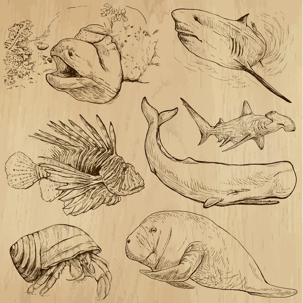 Sualtı, deniz canlıları (vektör no.4 set) - elle çizilmiş — Stok Vektör