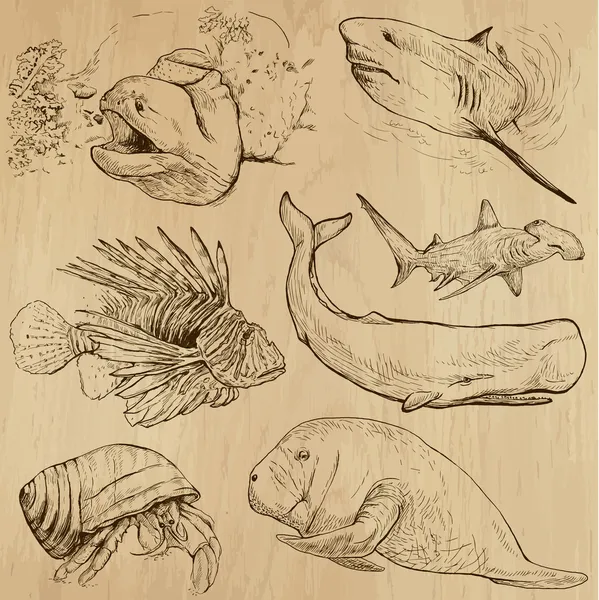 ใต้น้ํา, Sea Life (เซตเวกเตอร์หมายเลข 4) วาดด้วยมือ — ภาพเวกเตอร์สต็อก