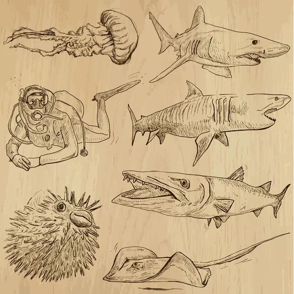 Underwater, Sea Life (vector set no.2) - hand drawn Royalty Free Stock Vectors
