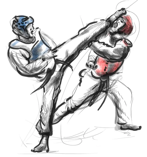 Tae-kwon. en full sized hand dras illustration — Stockfoto