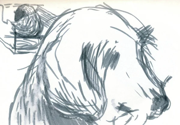 Een Handgetekende Illustratie Gescande Afbeelding Een Hond Teckel Artistieke Markeringstechniek — Stockfoto