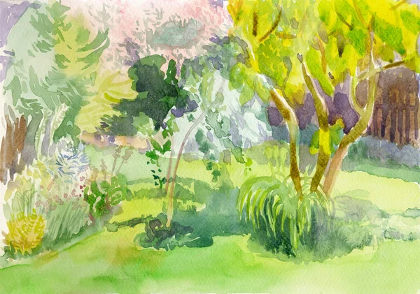 Hand Drawn Illustration Scanned Picture Forest Trees Landscape Watercolor Technique — Stock Photo, Image