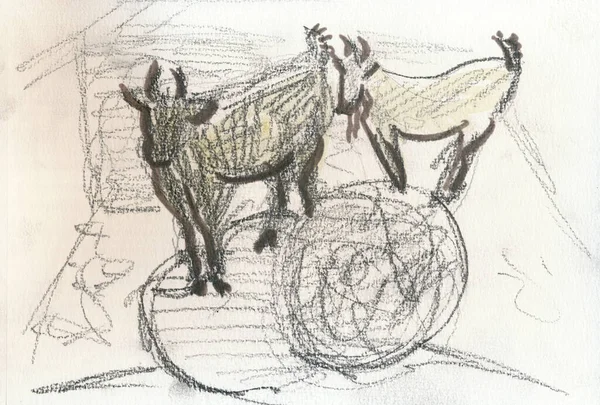 Hand Drawn Illustration Scanned Picture Goats Marker Pencil Technique — Stock Photo, Image