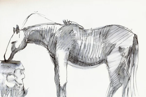 Hand Drawn Illustration Scanned Picture Horse Artistic Marker Watercolor Technique — Stock Photo, Image