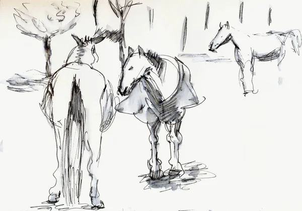 Hand Drawn Illustration Scanned Picture Horses Artistic Marker Watercolor Technique — Stock Photo, Image