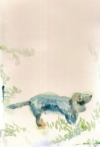 Eine Handgezeichnete Illustration Eingescanntes Bild Ein Hund Dackel Aquarelltechnik — Stockfoto