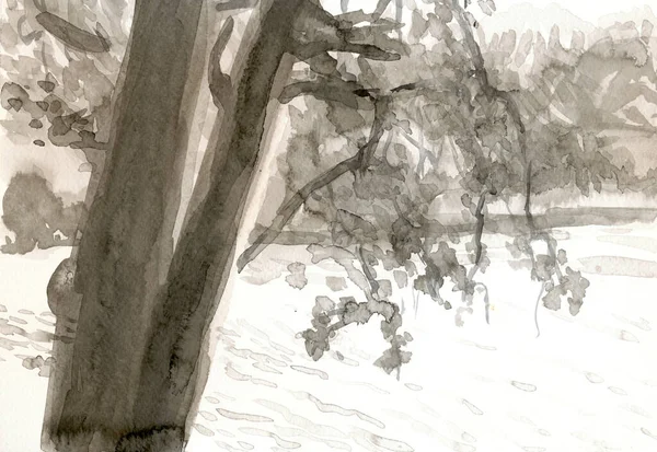 Uma Ilustração Desenhada Mão Imagem Digitalizada Árvores Técnica Aquarela — Fotografia de Stock