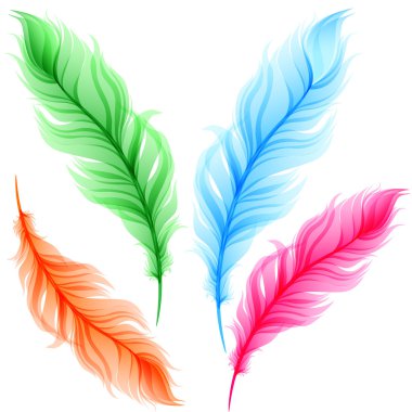 Set of colorful transparent feathers
