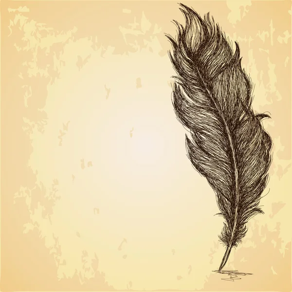 Sketch of the feather on grungy texture — Stock Vector