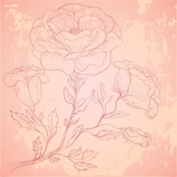Esboço de ramo de rosa em textura grungy — Vetor de Stock