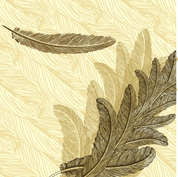 手描きの羽を持つビンテージ背景 — ストックベクタ