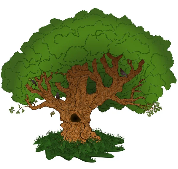 Arbre de dessin animé vectoriel — Image vectorielle