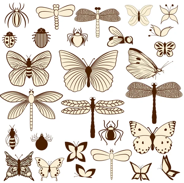 Set of stylized insects for decorating your work. Easy to edit and to change colors. — Stock Vector