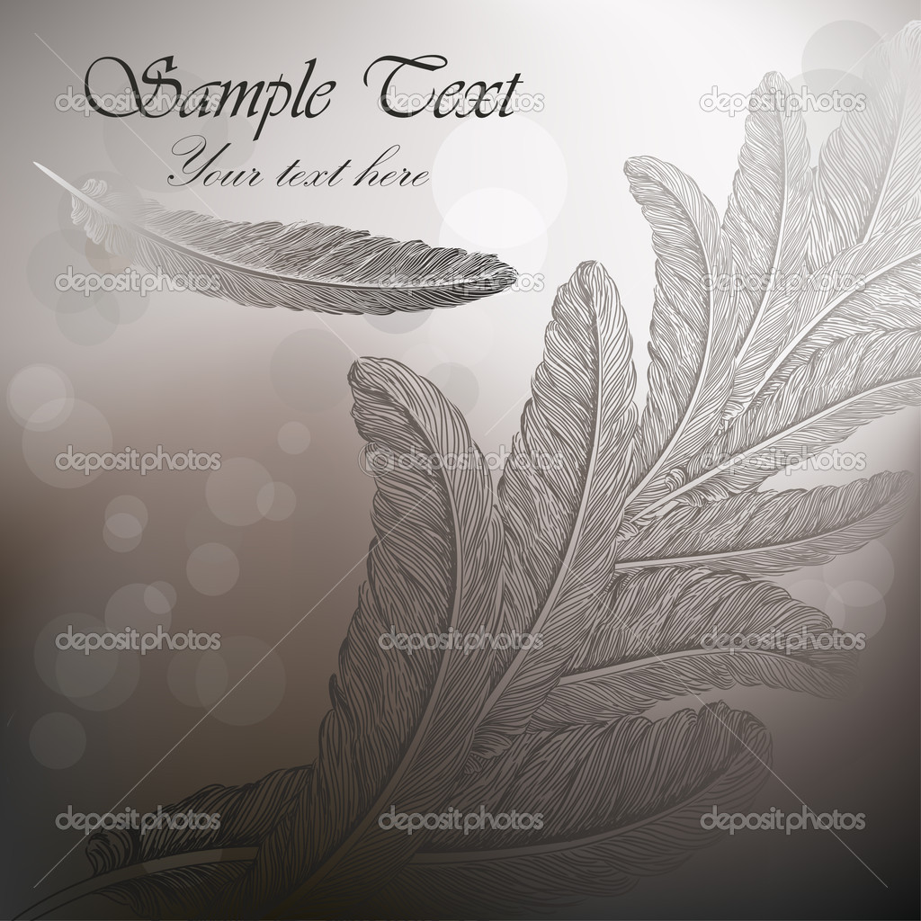 Vintage background with feathers on steel gray Stock Vector Image by