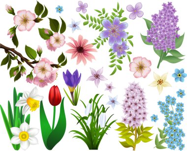 bahar çiçekleri topluluğu. raster sürüm