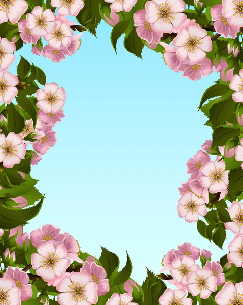 elma çiçeği çerçeve